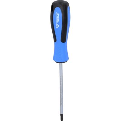 Brilliant Tools Schraubendreher TORX, T20 x 100 mm BT031013 Image