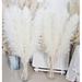 Primrue 40" Pampas Grass Plant | 40 H x 25 W x 25 D in | Wayfair 221863516DCB425F999EEDF3C3B95B46