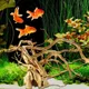 Branches de reptiles en bois pour aquariums plantes d'aquarium enge d'eau solide petits poissons