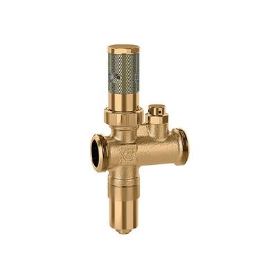 Frostschutzventil mit Aussenluftfühler Caleffi 108 1' Image
