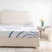 Bamboo Charcoal Infused Gel Memory Foam Mattress, 8 Inch Breathable Cover Mattress, Twin XL, White Blue