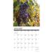 Vineyards 2024 12 X 12 Wall Calendar (Calendar)