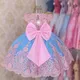 Baby Girls Lace Dresses Backless Wedding Evening Ball Gowns Embroidery Elegant Ceremony Costumes