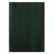 Letts Lecassa 2024 A4 day to page with appointments diary - British Racing Green
