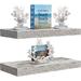 Gracie Oaks Francelino 2 Piece Floating Shelf Wood in White | 5.5 H x 16.25 W x 1.5 D in | Wayfair 1B09A63AA30248918CE566D49E2EA35E