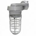 Lumapro Vapor Tight Fixture 100W 21R880