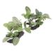 HElectQRIN Aquarium Artificial Plants 2pcs Aquarium Plants Decorations High Simulation Fish Artificial Landscaping Plants For Fish Tanks Aquariums Aquarium Landscaping Plants