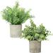 2 Pack Mini Potted Fake Plants Artificial Plants Artificial Plastic Eucalyptus Plants for Home Office Desk Farmhouse Room Decor Artificial Plants