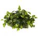 Nearly Natural Pothos Set on Foam Sheet Silk Plant - Green 15in. x 24in. x 13in.