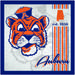 Auburn Tigers 10" x Greatest Hits Team Sign