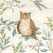 Millwood Pines Tulelake Woodland Animals Owl by Deb Strain Canvas in Green | 30 H x 30 W x 1.25 D in | Wayfair 50E31408E4964D49BA77AB25E121347F