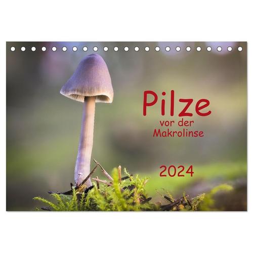 Pilze Vor Der Makrolinse 2024 (Tischkalender 2024 Din A5 Quer), Calvendo Monatskalender