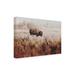 Union Rustic Crowne Lone Ranger On Canvas by Annie Bailey Graphic Art Canvas, Cotton in White | 30 H x 47 W x 2 D in | Wayfair