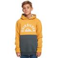 Kapuzensweatshirt QUIKSILVER "School Again" Gr. 16, gelb (mustard) Kinder Sweatshirts