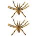 BESTONZON 2Pcs Simulation Tarantula Toys Educational Spider Models Decorative Spider Toys