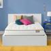 Simmons Alexandria 11" Firm Mattress