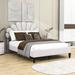 Everly Quinn Low Profile Platform Bed Wood & /Upholstered/Velvet in White/Brown | 48 H x 58 W x 77 D in | Wayfair 7EB28E4868A54B5B972502F94A92CC55