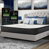 Queen 9.5" Foam Mattress - Innomax ASC Plush Top Digital Air Number Bed | 80 H x 60 W 9.5 D in Wayfair SC2VIFC7T