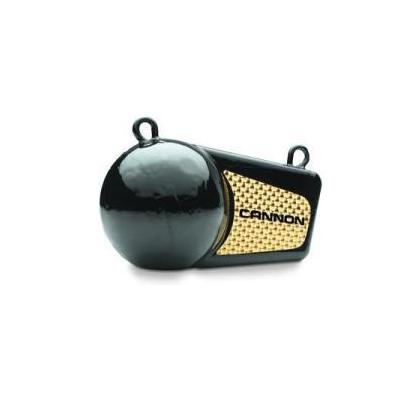 Cannon 10# Flash Weight