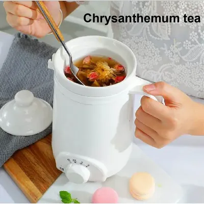 Pot de santé électrique portable tasse à bouillie de bureau mini tasse à eau chauffante accent