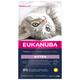 2x2kg Healthy Start Kitten Eukanuba Dry Cat Food