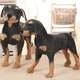 Simulation Standing Black Dog Plush Toy Stuffed Animal Toy Pet Dog Toys Super Realistic Dog Toy