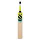 DSC Wildfire Warrior Cricket Bat For Mens and Boys (Beige, Size -6) | Material: Kashmir Willow | Lightweight | Free Cover | Ready to play | For Intermediate Player | Ideal For Leather Ball