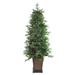 6' Pre-Lit Potted Oregon Noble Fir Slim Artificial Christmas Tree - LED Lights