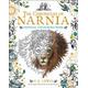 The Chronicles of Narnia Colouring Book By C S Lewis (Paperback)