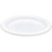 Disposable Plastic Plates