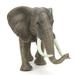 Miniature Elephant Figurines Model High Simulation Wild Elephant Animal Toys Elephant Figurines Realistic Animal Figure Collection for Dollhouse Home Garden Decoration