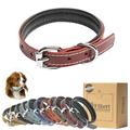Filbert Padded Leather Dog Collar for Large Dogs Medium & Small Dogs Leather Collar for Dogs Red Dog Collar +12 Colors Genuine Leather Dog Collars + Leather Lining Luxury Dog Collar