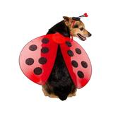 Pet Ladybug Costume