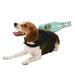 BT Bear Halloween Pets Costumes Pet Deadly Dog Costume Dogs Halloween Spooky Costumes Party Dress Up Scare Costumes for Cats Puppy Small Medium Dogs Wine Bottle M