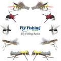 The Fly Fishing Place Basics Collection - Terrestrials Dry Fly Assortment - 10 Dry Fishing Flies - Hopper Ant and Beetle Fishing Fly Patterns - Hook Sizes 10 12 and 14