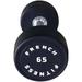 French Fitness Urethane Round Pro Style Dumbbell 65 lbs - Single (New)