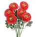 Uxcell Artificial Ranunculus Flowers 6 Stems Faux Permanent Flower Floral Arrangements Bouquet Light Red