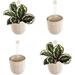 loop hanging wall planter indoor flowerpot hanging planter for indoor and outdoor planting mount on wall or ceiling (oat 4 pack)