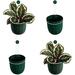 Loop Hanging Wall Planter Indoor Flowerpot Hanging Planter for Indoor and Outdoor Planting Mount on Wall or Ceiling (Forest 4 Pack)