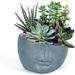 Abstract Face Planter 12 inch Face Flower Pot Flower Plant Pots for Indoor Outdoor Plants Creative Planter Vase with Drainage Hole (Grey)