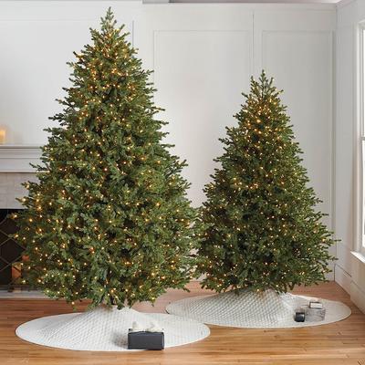 Westchester Fir Tree - 9' - Frontgate - Christmas ...