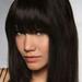 Hairdo Human Hair Clip-In Bangs R10 Chestnut Hair Extensions 9 Inch Long