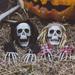 6 Pcs Halloween Skeleton Stakes Pumpkin Outdoor Decorations