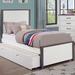 Urna Contemporary White and Grey Wood Kids Platform Bed by Furniture of America