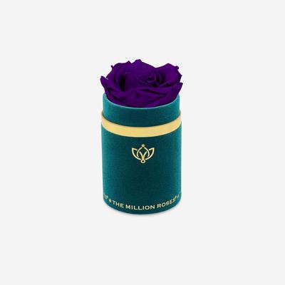 Single Dark Green Suede Box | Bright Purple Rose