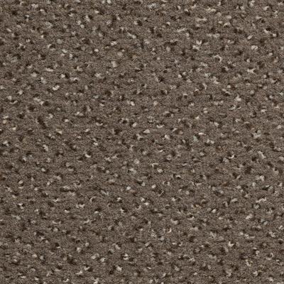 Teppichboden VORWERK "Passion 1006 (Riva), Velours - gemustert, Made in Germany", braun, B:500cm H:6,7mm L:800cm, Polyamid, Teppiche, Wohnzimmer, Schlafzimmer, Kinderzimmer, Breite 400/500 cm
