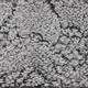 BODENMEISTER Teppichboden "Schlingenteppich Doradas" Teppiche Gr. B/L: 500 cm x 450 cm, 9,5 mm, 1 St., silberfarben (hell, grau silber) Teppichboden