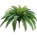 One 25 Inch Long Silk Artificial Fern Bush With A 40 Inch Spread From Tip To Tip When Spread Out From The Middle. 48 Branches