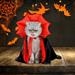 Shldybc Halloween Decorations on Clearance Halloween Pet Clothes Cats Spooky Costumes Cats Cape Pet Party Vampires Crossdressing Halloween Pet Cats Dogs Dogs Cape Decoration Transforming Witch Clothe