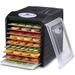 Samson Brands 600 Watt Food Dehydrator, Stainless Steel in Black | 16.6 H x 13.5 W x 17.75 D in | Wayfair SB_109_SS